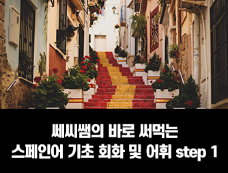 쎄씨쌤의 바로 써먹는 스페인어 기초 회화 및 어휘 step1