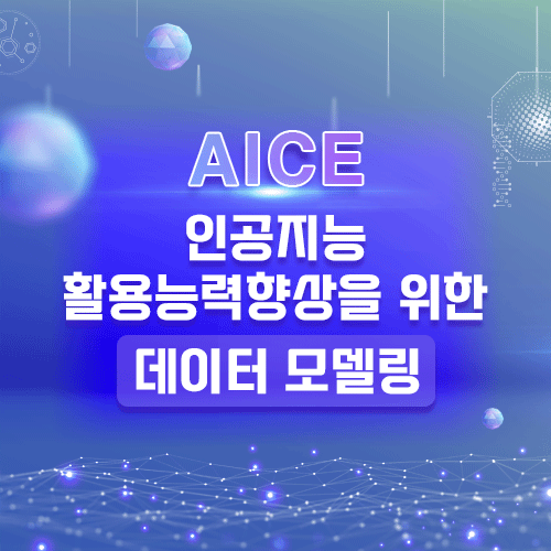 [AICE]인공지능활용능력향상을 위한 데이터 모델링