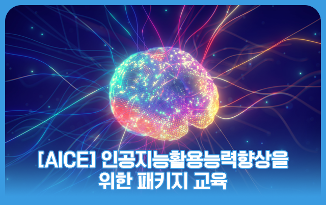 [AICE] 인공지능활용능력향상을 위한 패키지 교육